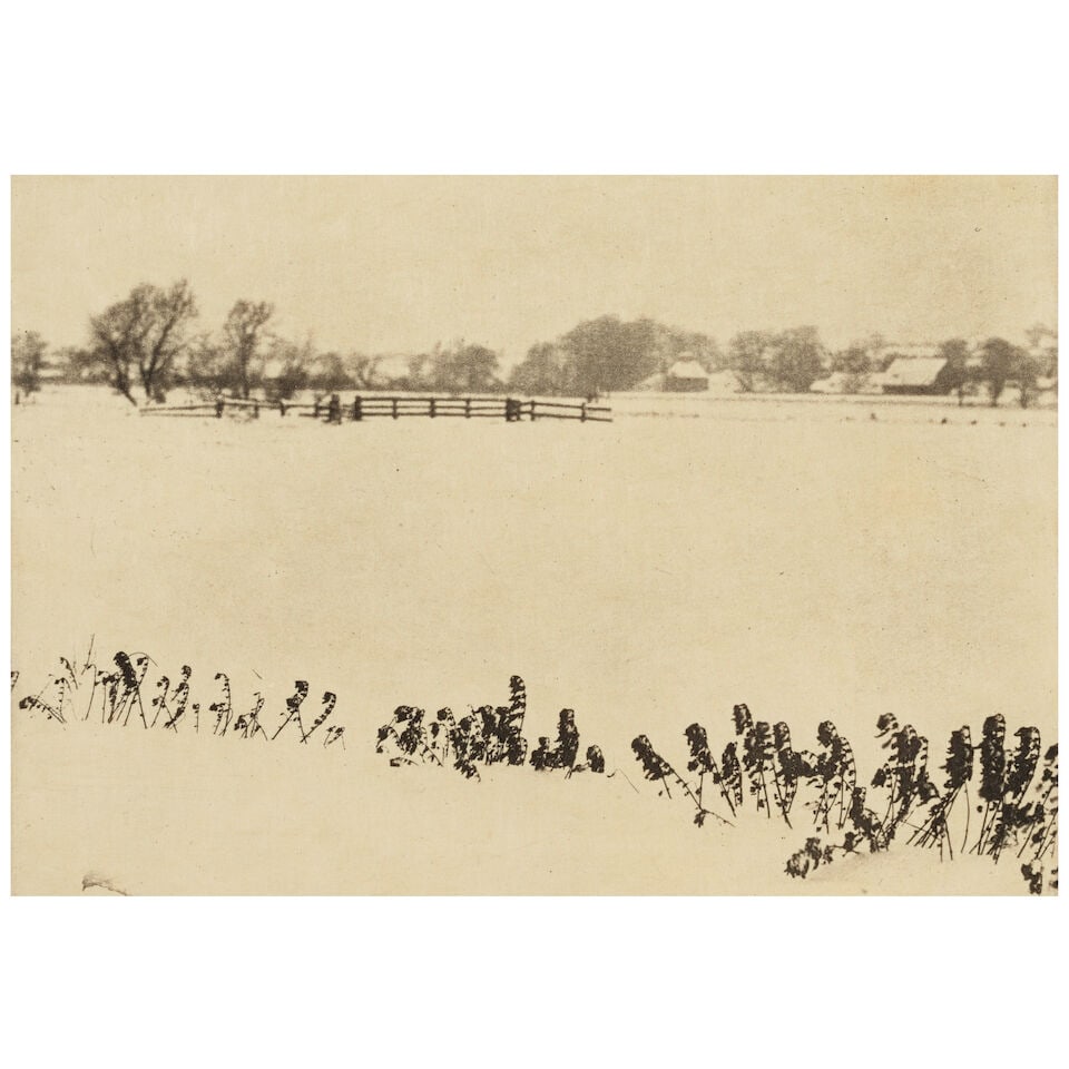 Peter Henry Emerson (1856-1936); Marsh Weeds (Plate VI from 'Marsh Leaves'); (1 of 2)