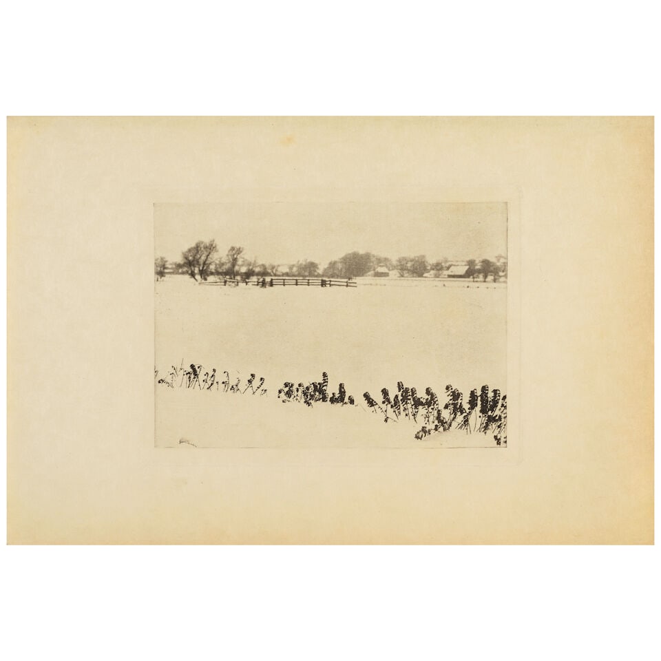 Peter Henry Emerson (1856-1936); Marsh Weeds (Plate VI from 'Marsh Leaves'); - 2