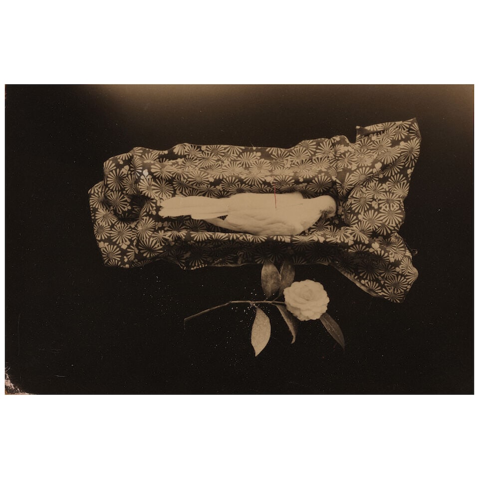 Masao Yamamoto (born 1957); Untitled #18 and Untitled #49 (from 'Box of Ku'); (1 of 5)