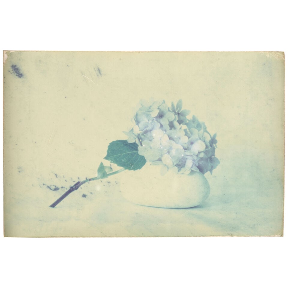 Masao Yamamoto (born 1957); Untitled #42 and Untitled #276 (from 'Box of Ku'); - 2