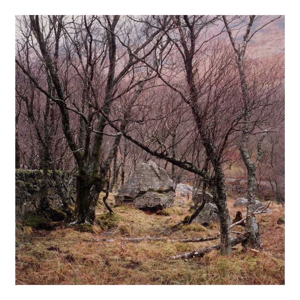 Andy Goldsworthy (born 1956); 'Stone Drawing, Grass, Clay, Thorns, Scaur Glen, Dumfriesshire'; - 2