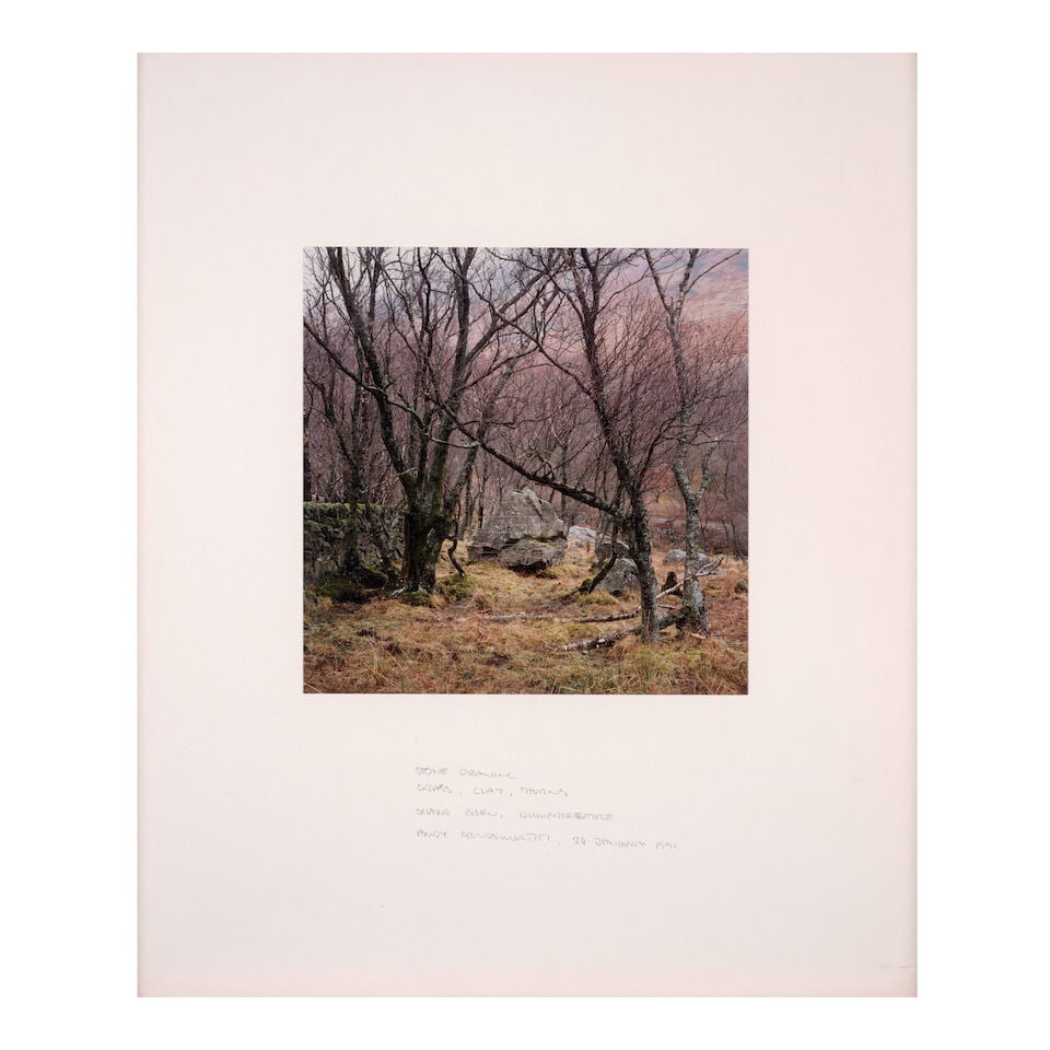Andy Goldsworthy (born 1956); 'Stone Drawing, Grass, Clay, Thorns, Scaur Glen, Dumfriesshire'; - 3
