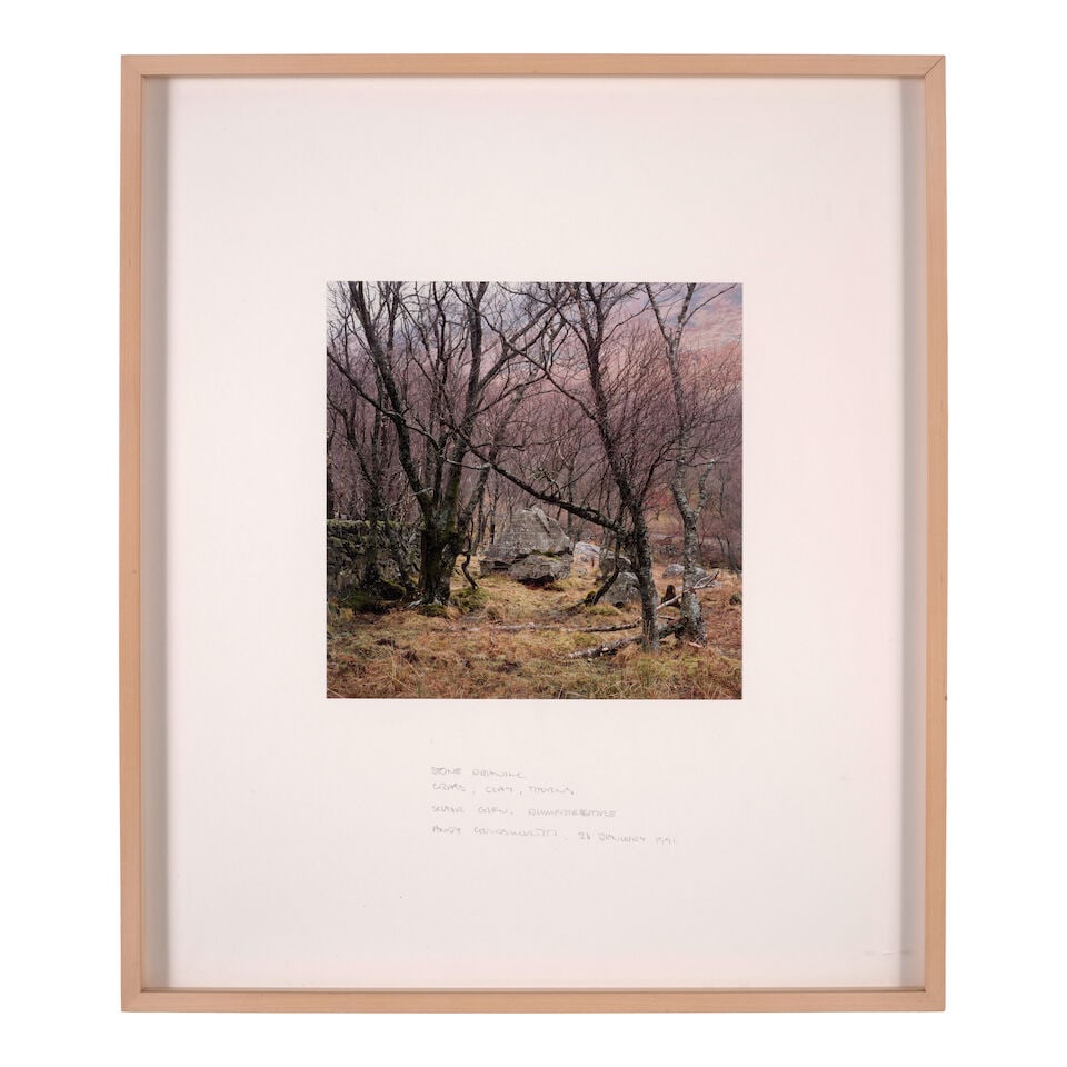 Andy Goldsworthy (born 1956); 'Stone Drawing, Grass, Clay, Thorns, Scaur Glen, Dumfriesshire'; - 4