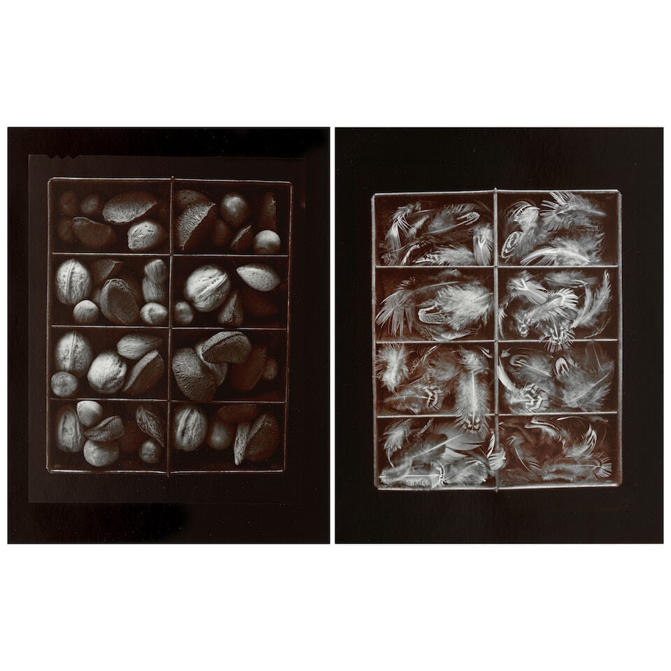 Olivia Parker (born 1941); Selected Images (comprising 'Mixed Nuts' and 'Pheasant');: Olivia Parker (born 1941) Selected Images (comprising 'Mixed Nuts' and 'Pheasant'), 1975 and 1976 Two selenium-toned silver chloride prints, printed 1979 and 1981; each signed, titled, dated, and