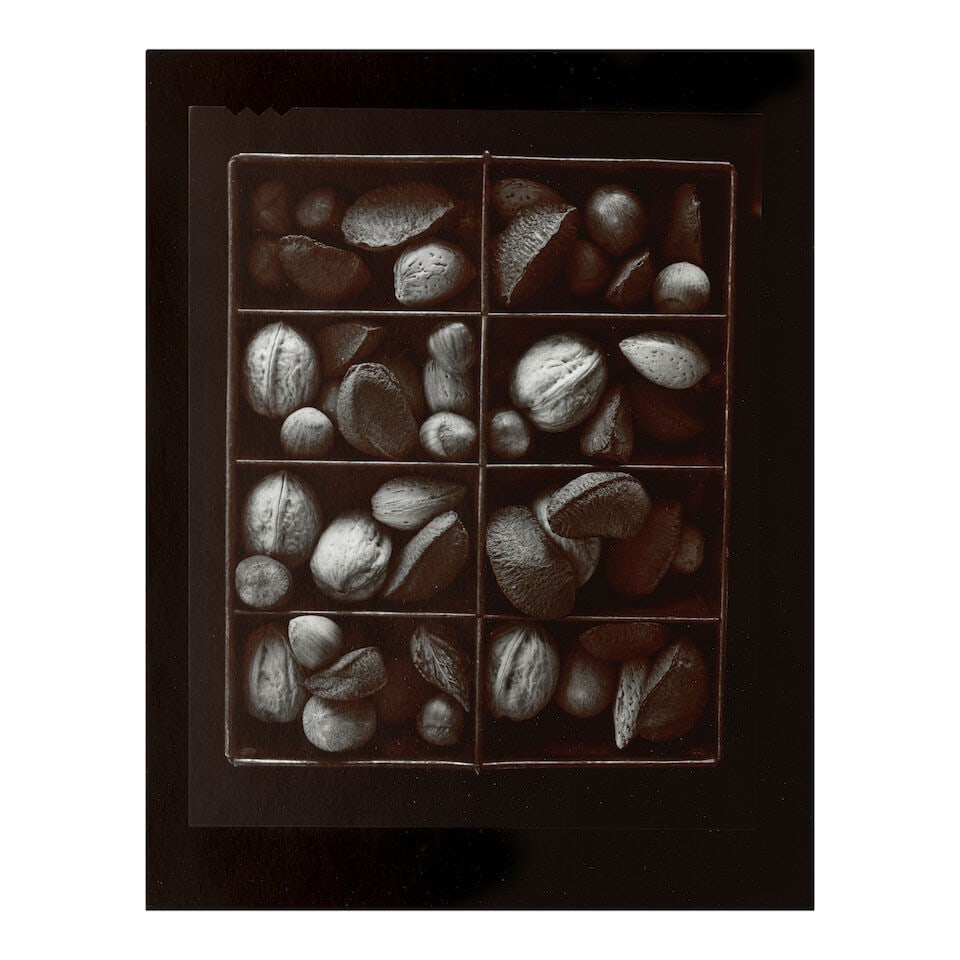 Olivia Parker (born 1941); Selected Images (comprising 'Mixed Nuts' and 'Pheasant'); - 3