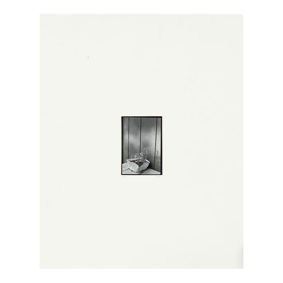 Arnold Newman (1918-2006); Untitled (Still Life); - 2