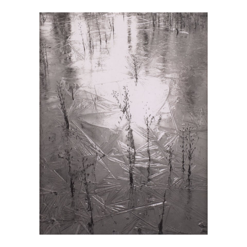 Paul Caponigro (1932-2024); Selected Polaroids (comprising 'Reeds in Ice, Coventry, Connecticut'... - 4