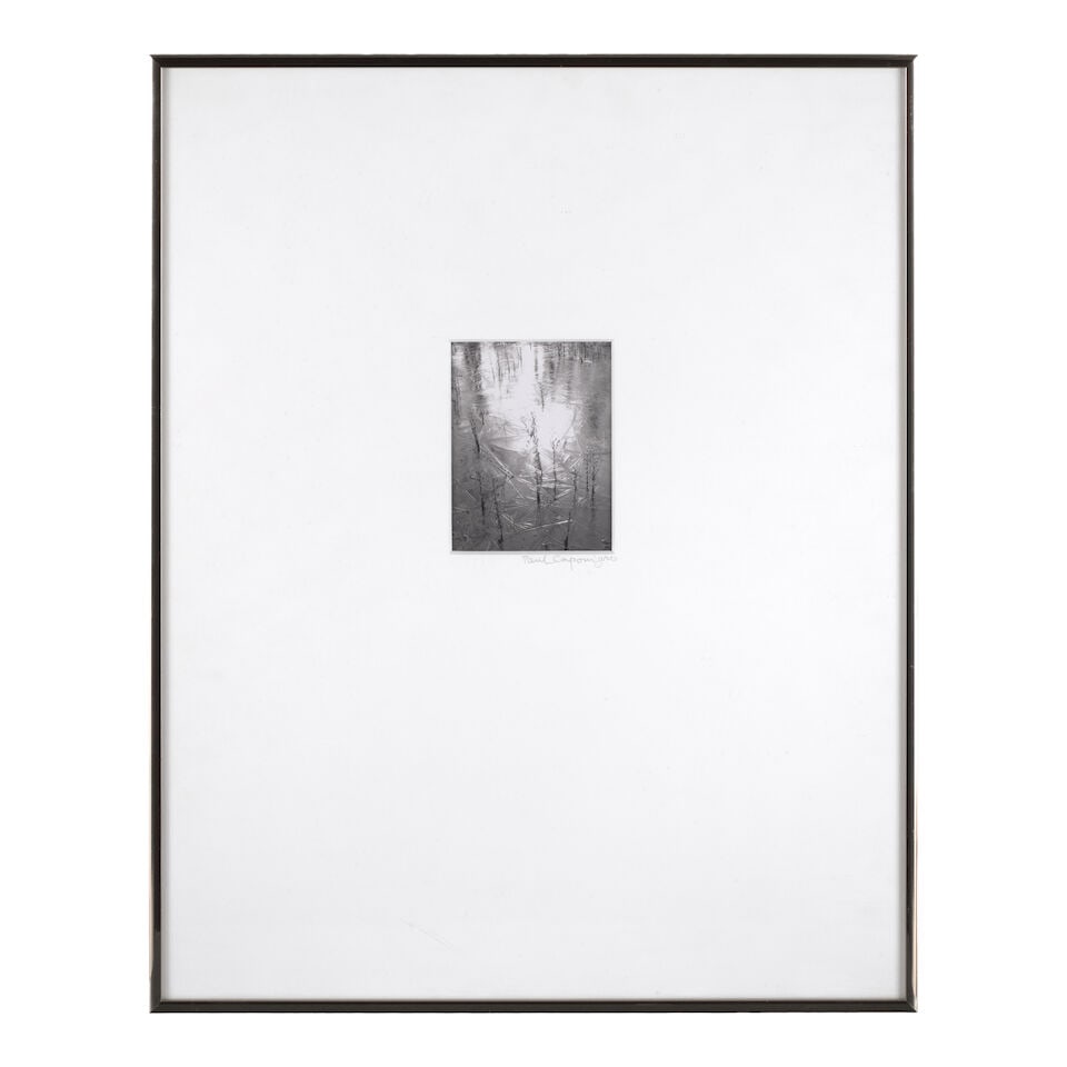 Paul Caponigro (1932-2024); Selected Polaroids (comprising 'Reeds in Ice, Coventry, Connecticut'... - 5