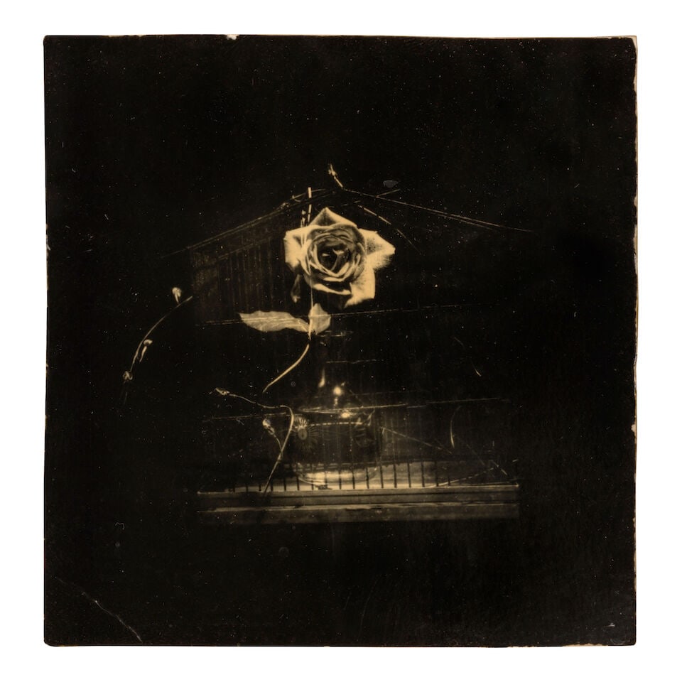 Masao Yamamoto (born 1957); Untitled #98, Untitled #61, and Untitled #517 (from 'Box of Ku'); - 5