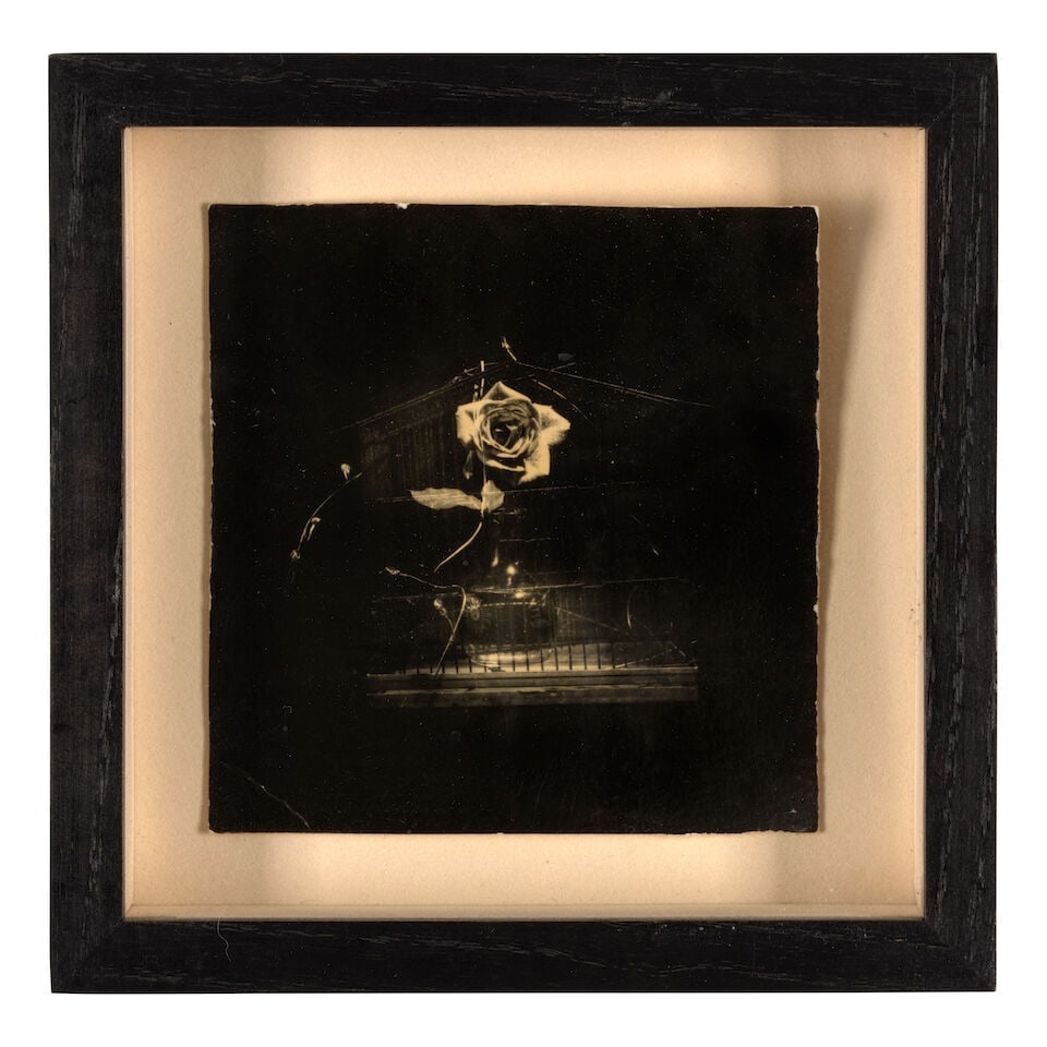 Masao Yamamoto (born 1957); Untitled #98, Untitled #61, and Untitled #517 (from 'Box of Ku'); - 6