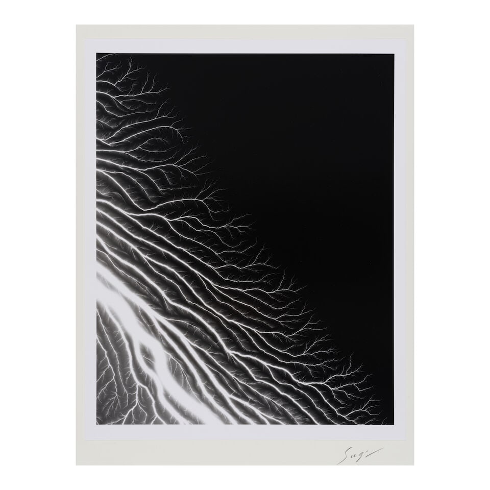 Hiroshi Sugimoto (born 1948); Lightning Fields 304 (with book 'The Long Never'); - 2