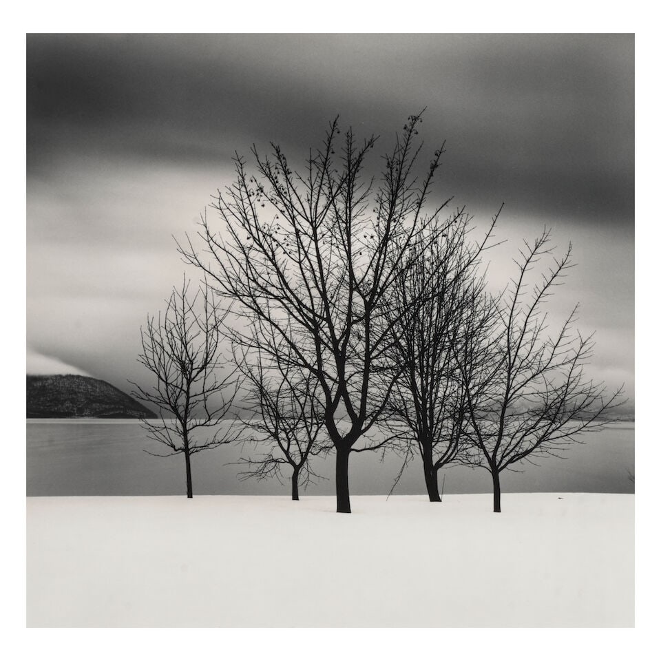 Michael Kenna (born 1953); 'Five Trees, Toya Lake, Hokkaido, Japan';: Michael Kenna (born 1953) 'Five Trees, Toya Lake, Hokkaido, Japan', 2004 Sepia-toned gelatin silver print, printed 2005; mounted, signed, dated, and editioned '17/45' in pencil on the mount, the photo