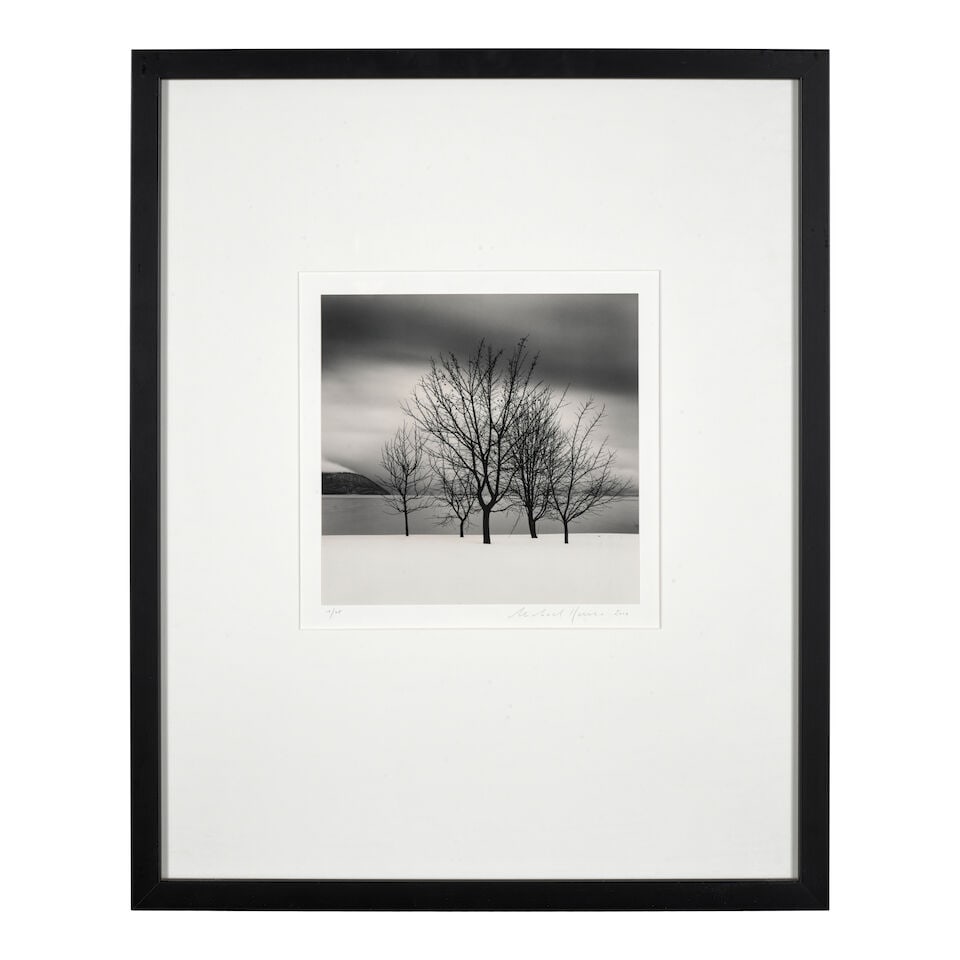 Michael Kenna (born 1953); 'Five Trees, Toya Lake, Hokkaido, Japan'; - 2