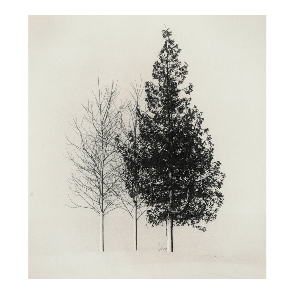 Michael Kenna (born 1953); 'Tree Portrait #4, Wakoto, Hokkaido, Japan';: Michael Kenna (born 1953) 'Tree Portrait #4, Wakoto, Hokkaido, Japan', 2002 Sepia-toned gelatin silver print; mounted, signed, dated, and editioned '2/45' in pencil on the mount, the photographer's co