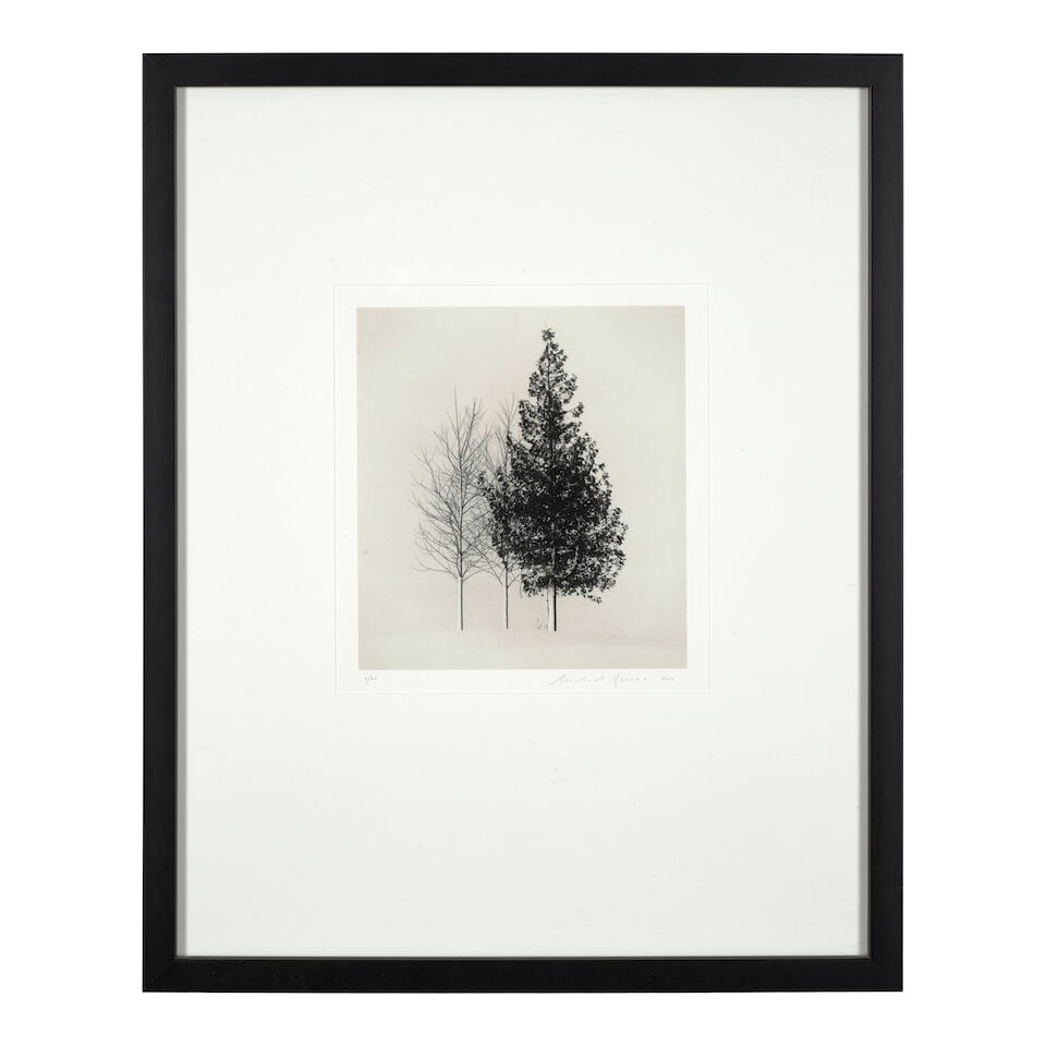 Michael Kenna (born 1953); 'Tree Portrait #4, Wakoto, Hokkaido, Japan'; - 2