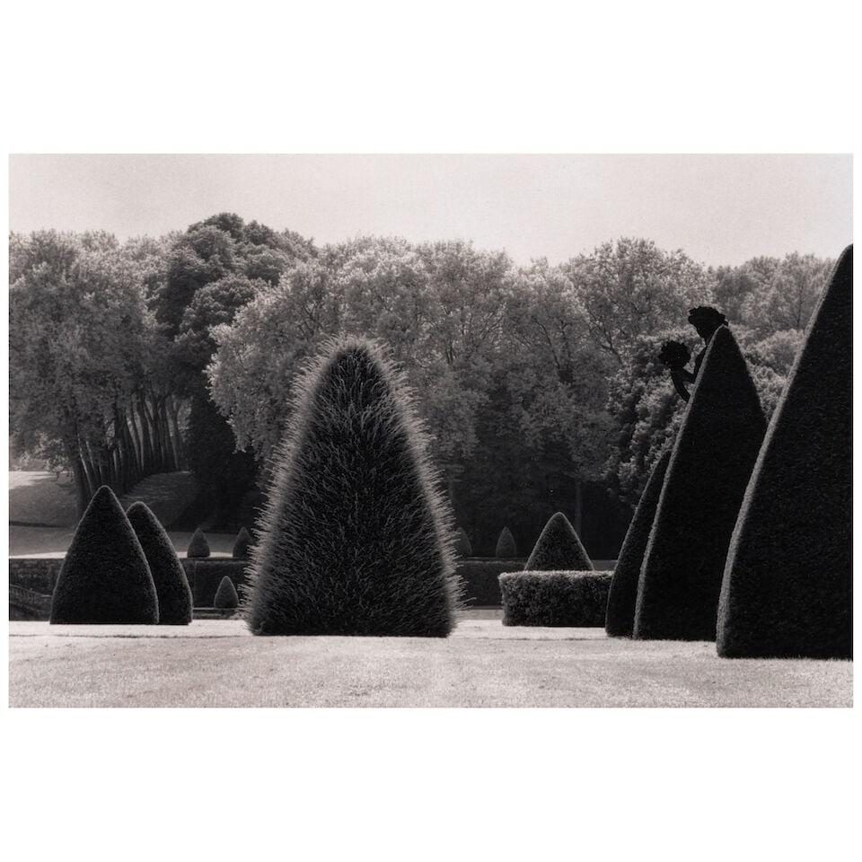 Michael Kenna (born 1953); 'Unclipped Bush, Vaux-Le-Vicomte, France'; (1 of 3)