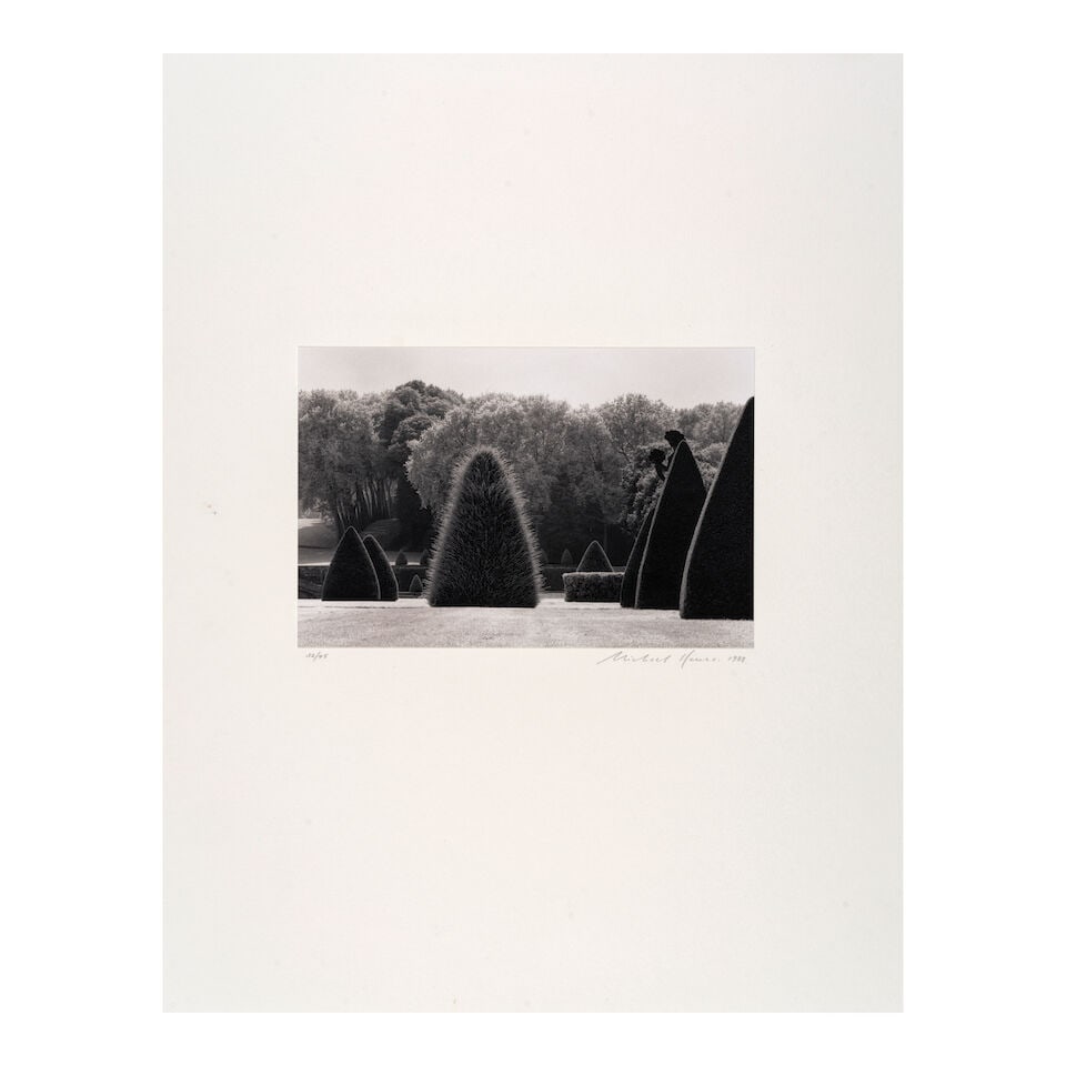 Michael Kenna (born 1953); 'Unclipped Bush, Vaux-Le-Vicomte, France'; - 2