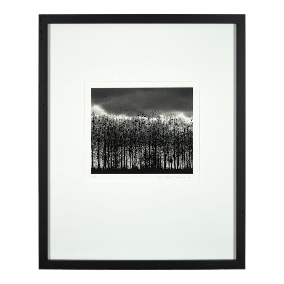 Michael Kenna (born 1953); 'Nesting Colony, Bourgogne, France'; - 2