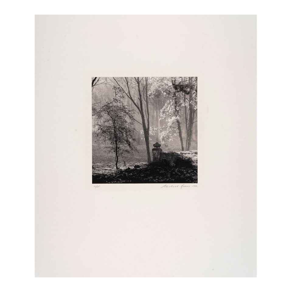 Michael Kenna (born 1953); 'Le Desert de Retz, Study 4, France'; - 3