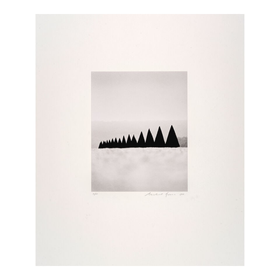 Michael Kenna (born 1953); 'Conical Hedges, Versailles, France'; - 2
