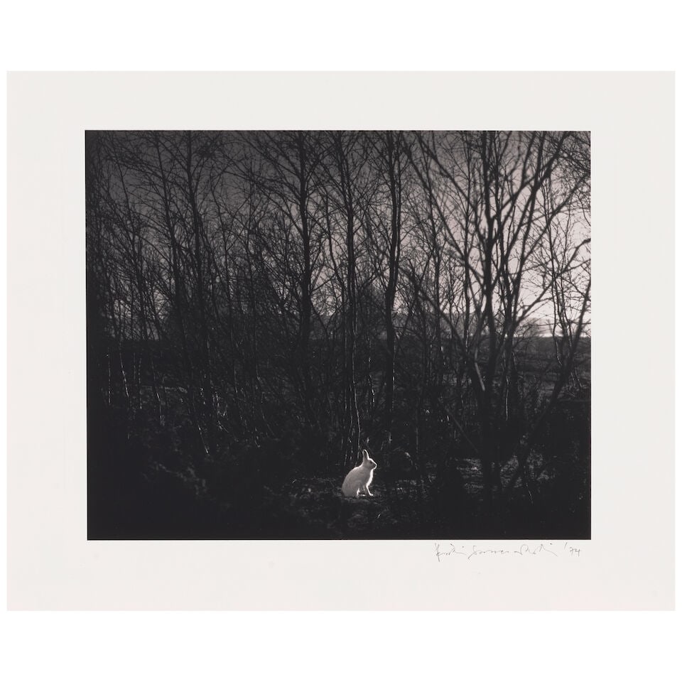 PENTTI SAMMALLAHTI (FINNISH, BORN 1950); Signilskar, Finland (Rabbit); - 2