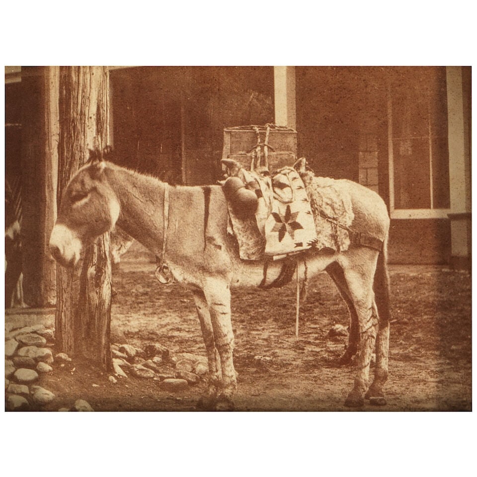 W.P. BLISS: A FRAMED PHOTOGRAPH SURVEY OF THE BURRO20th century: W.P. BLISS: A FRAMED PHOTOGRAPH SURVEY OF THE BURRO 20th century Cabinet card, together with a photograph mounted to board of a cactus in a landscape. Survey of the Burro: image 3 x 4in framed 9 x