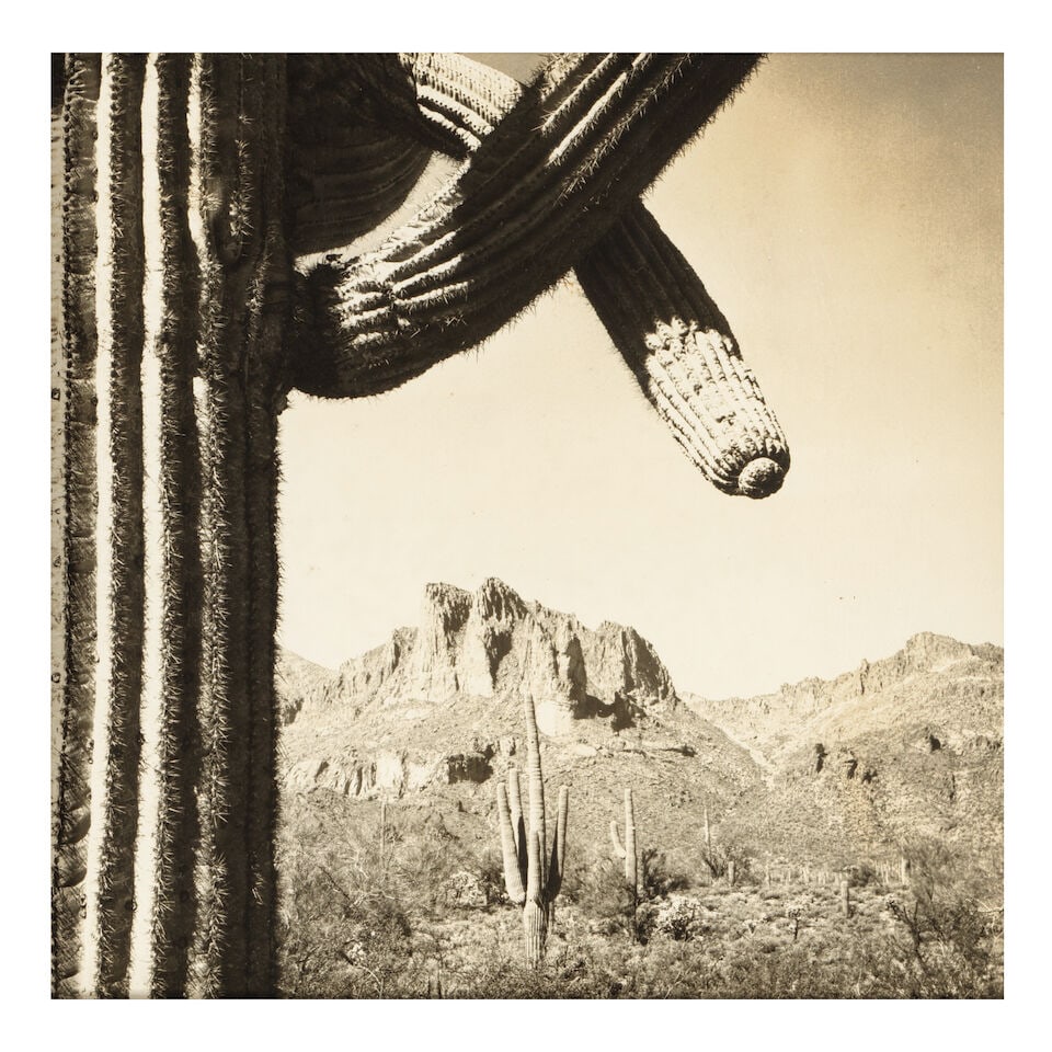 W.P. BLISS: A FRAMED PHOTOGRAPH SURVEY OF THE BURRO20th century - 4
