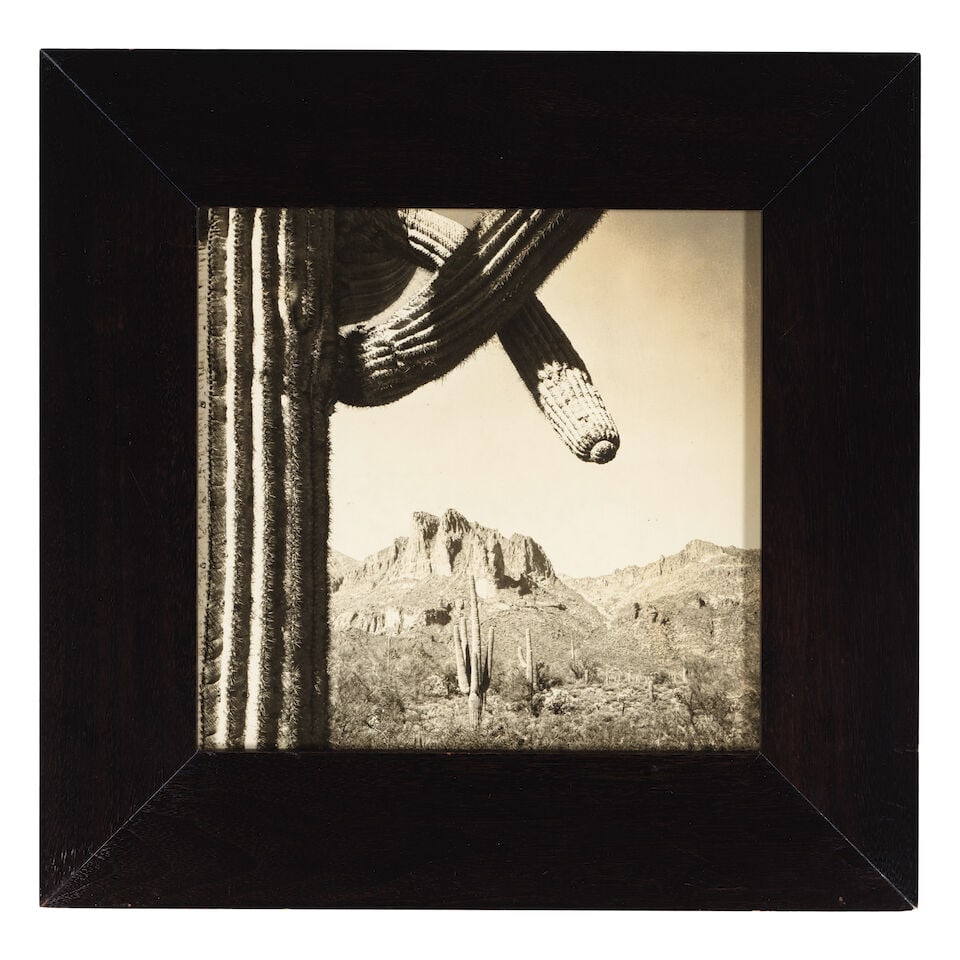 W.P. BLISS: A FRAMED PHOTOGRAPH SURVEY OF THE BURRO20th century - 5