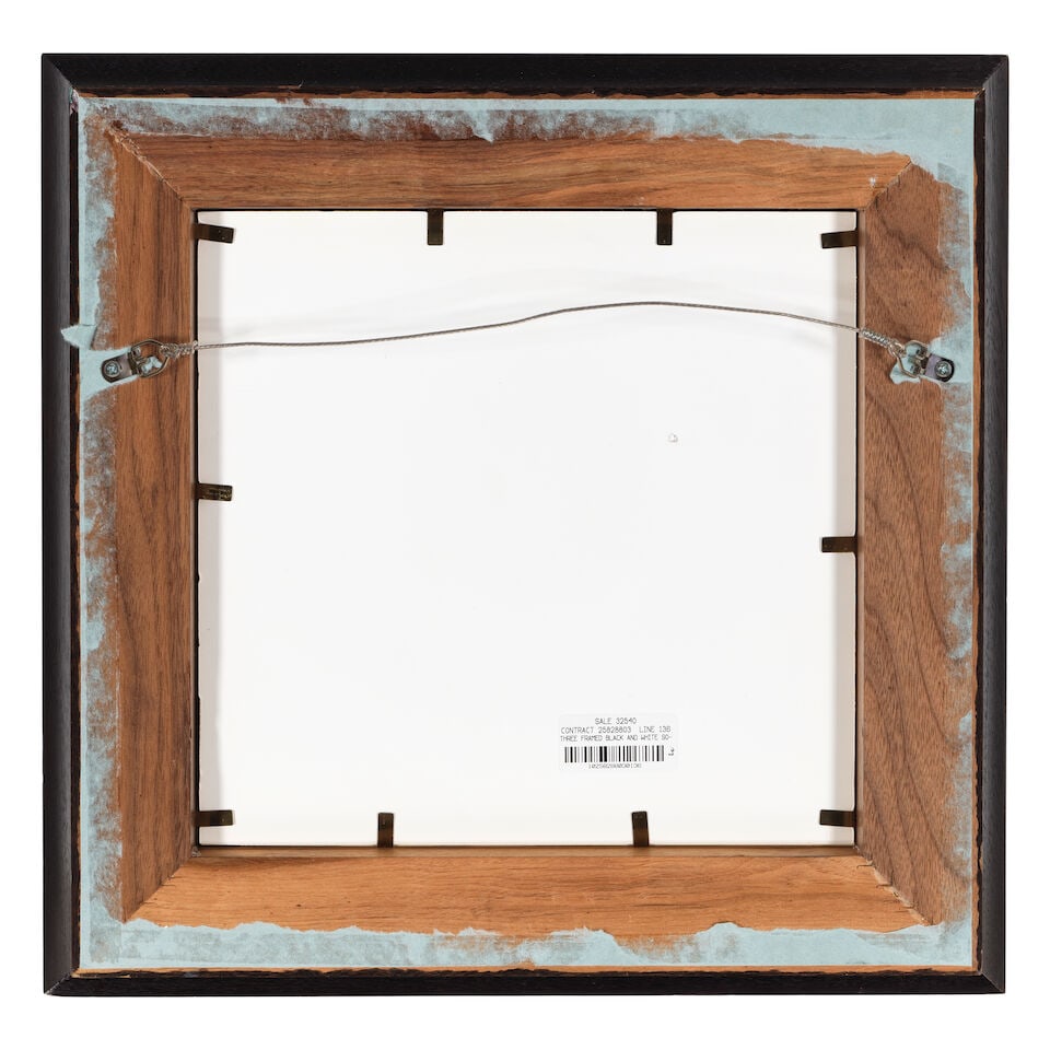 W.P. BLISS: A FRAMED PHOTOGRAPH SURVEY OF THE BURRO20th century - 6