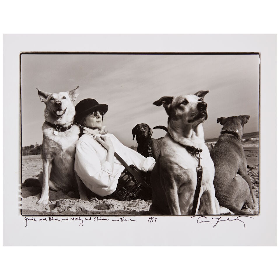 ANNIE LEIBOVITZ (AMERICAN, BORN 1949); 'Josie and Blue and Molly and Sticker and Diane'; - 2