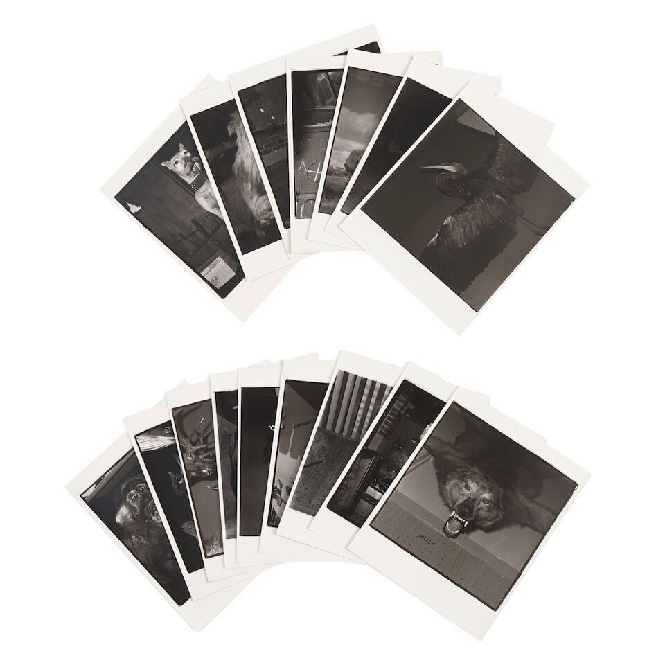 DIANE KEATON (AMERICAN, 1946-2025): SIXTEEN BLACK AND WHITE PHOTOGRAPHS OF TAXIDERMY - 2