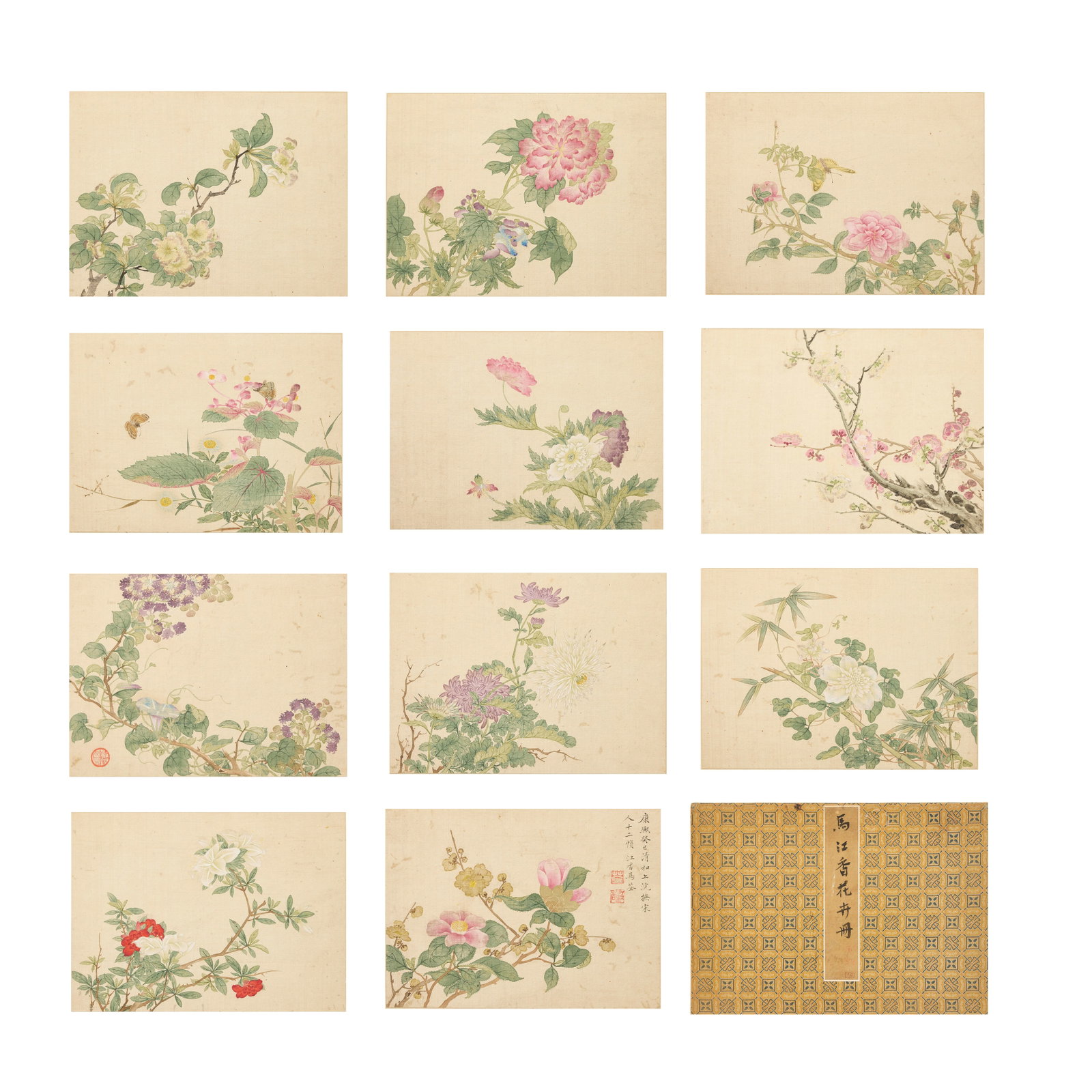 MA QUAN (17th/18th century) Floral studies: MA QUAN (17th/18th century) Floral studies Album of eleven leaves, ink and colour on silk, dated Kangxi guisi year, corresponding to 1713. 17.5cm (6 7/8in) high x 24.2cm (9 1/2in) wide. Footnotes: 