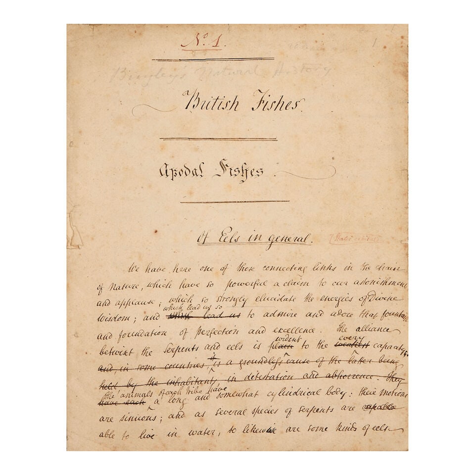 BINGLEY (WILLIAM) Natural history manuscripts from the Thomas Phillipps Collection, [watermarked... - 3