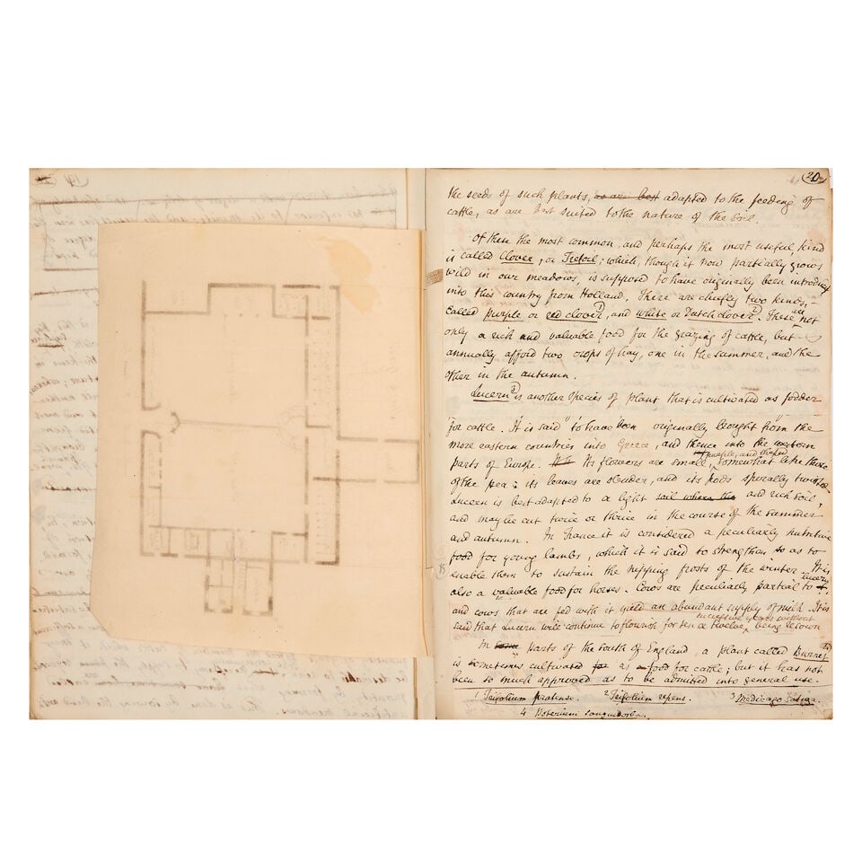 BINGLEY (WILLIAM) Natural history manuscripts from the Thomas Phillipps Collection, [watermarked... - 4