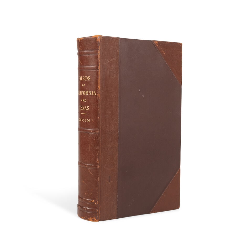 CASSIN (JOHN) Illustrations of the Birds of California, Texas, Oregon, British and Russian Ameri... - 3