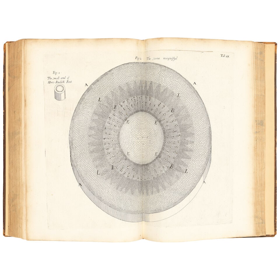 GREW (NEHEMIAH) The Anatomy of Plants. With an Idea of a Philosophical History of Plants. And Se... - 3