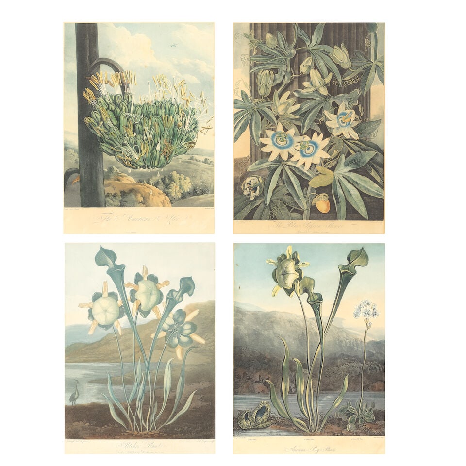 THORNTON (ROBERT JOHN) Four plates from 'The Temple of Flora', Robert John Thornton, 1800-1807 (4) (1 of 5)