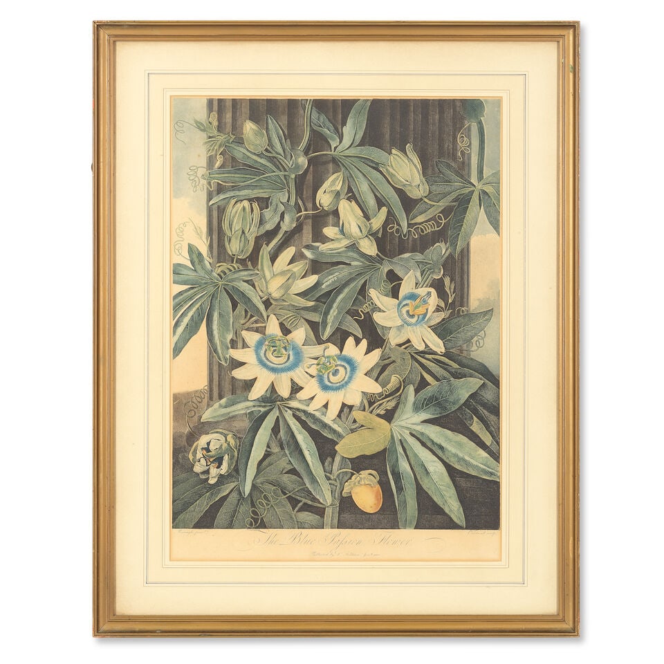 THORNTON (ROBERT JOHN) Four plates from 'The Temple of Flora', Robert John Thornton, 1800-1807 (4) - 4