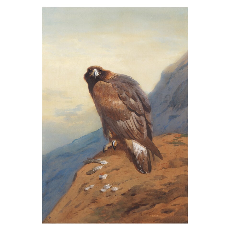 Archibald Thorburn (British, 1860-1935) Golden Eagle (1 of 3)