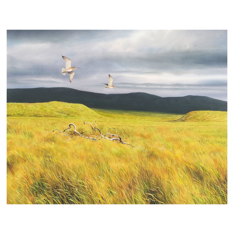 Rodger McPhail (British, born 1953) Curlews (1 of 3)