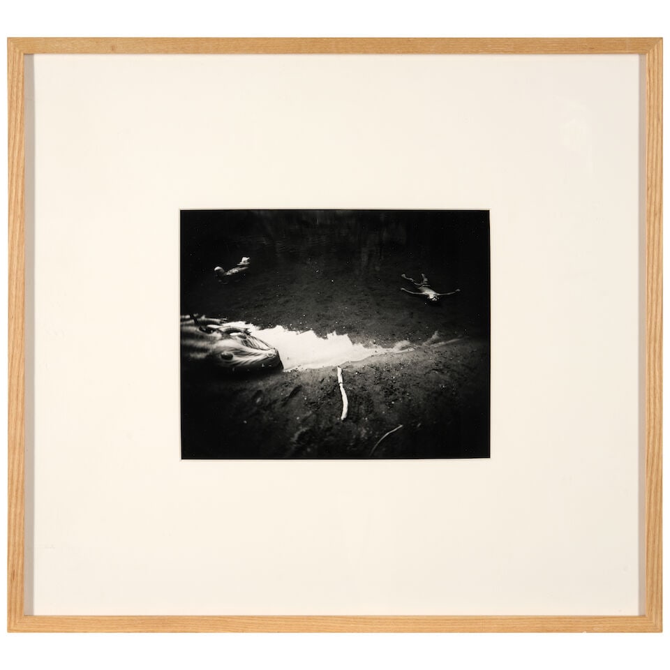 Sally Mann (born 1951); Emmett Afloat (from 'Immediate Family'); - 2