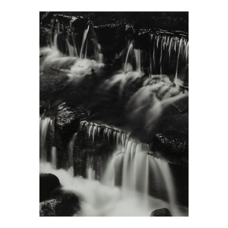 Ansel Adams (1902-1984); Fern Spring, Dusk, Yosemite Valley, California; (1 of 2)