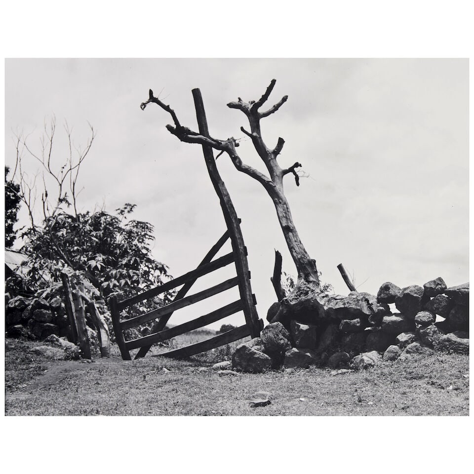 Manuel Alvarez Bravo (1902-2002); Selected Works including Barda de Panteón (Cemetery Wall); - 2