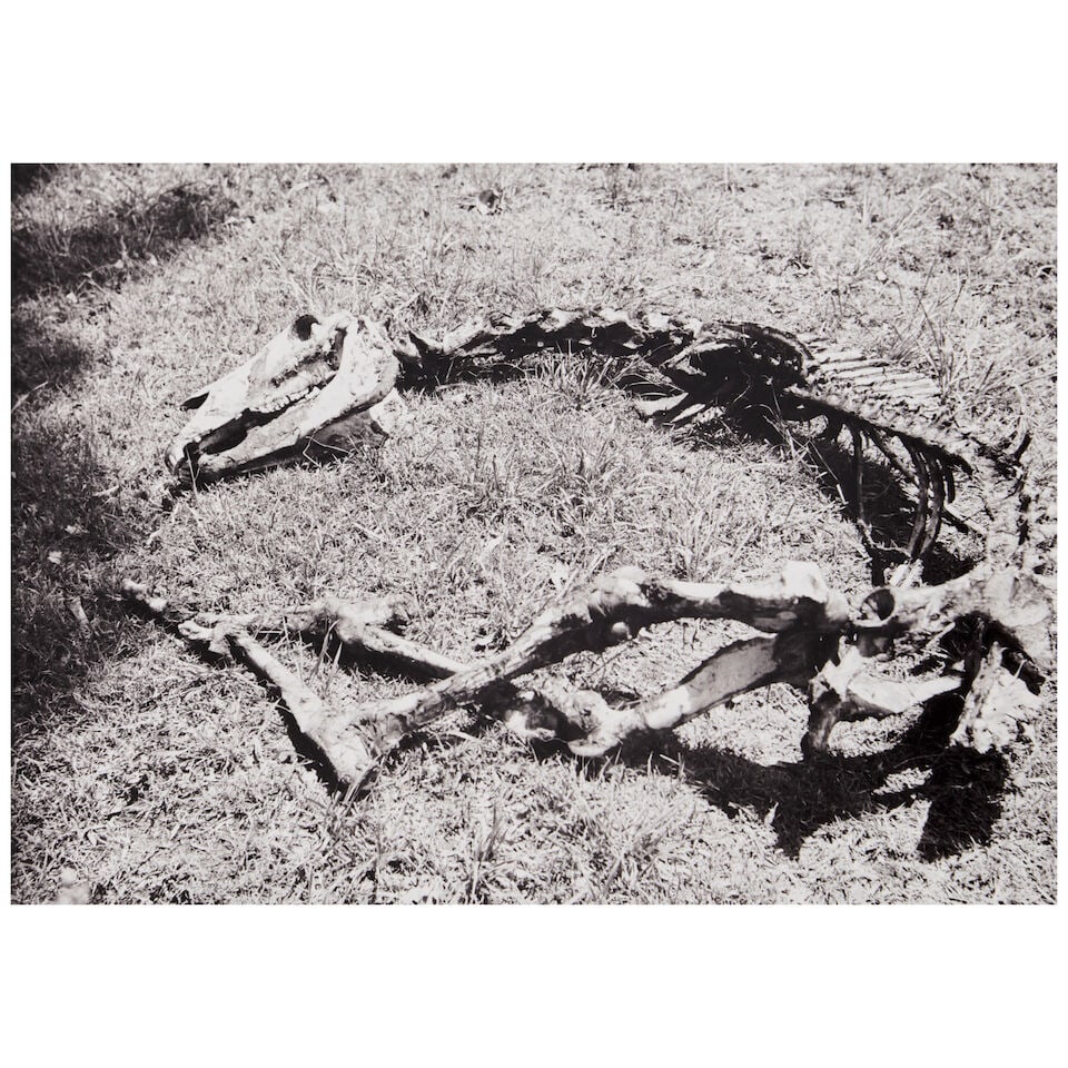 Manuel Alvarez Bravo (1902-2002); Selected Works including Ruina (Ruin); (1 of 6)
