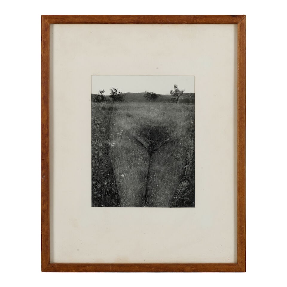 Harry Callahan (1912-1999); Eleanor, Aix-en-Provence, France; - 2