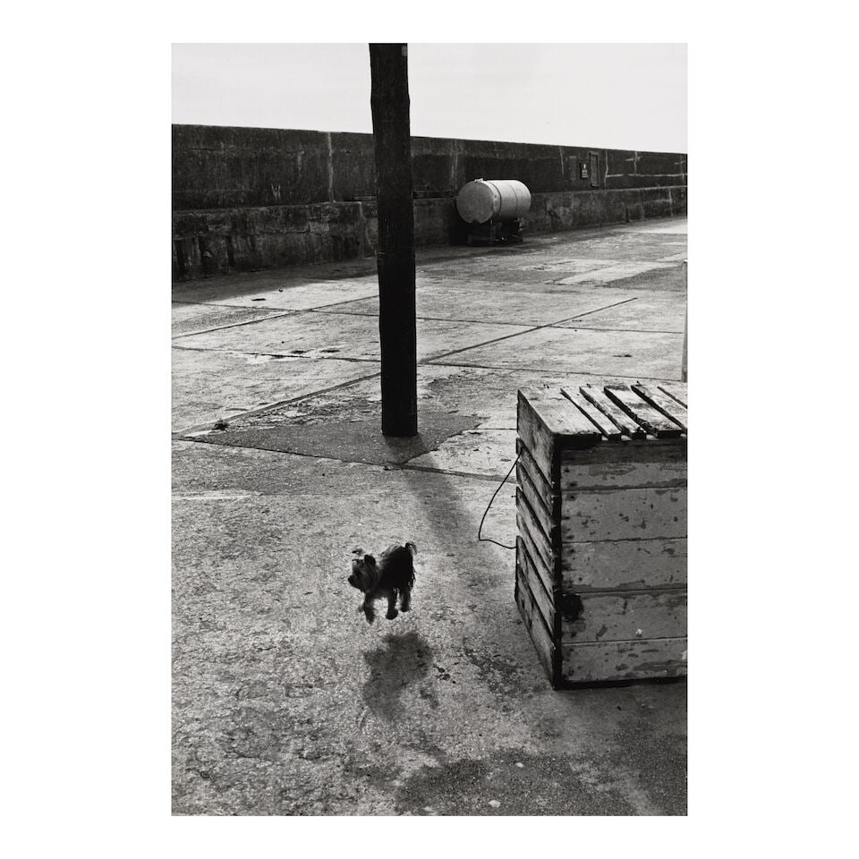 Elliott Erwitt (1928-2023); Ballycotton, Ireland (Yorkshire Terrier);: Elliott Erwitt (1928-2023) Ballycotton, Ireland (Yorkshire Terrier), 1968 Gelatin silver print; the photographer's copyright and archival print stamps, both in duplicate, on the reverse. 12 x 8 1/8 in