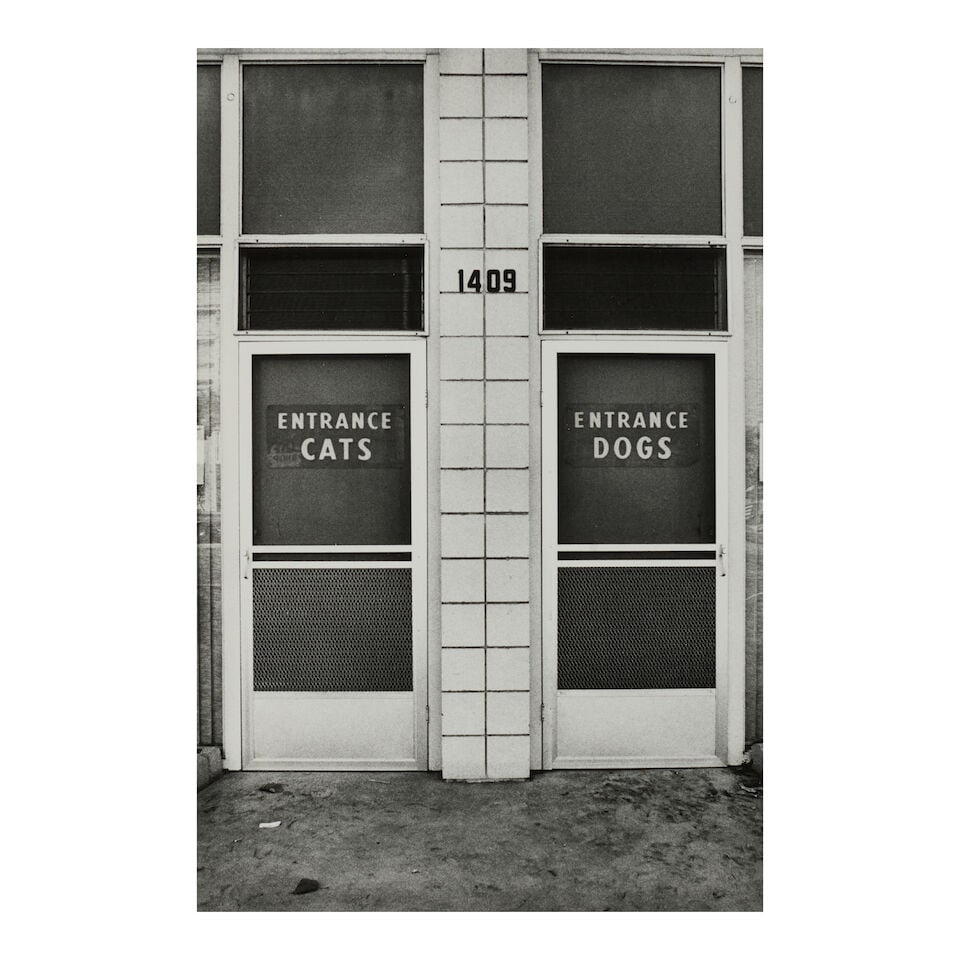 Elliott Erwitt (1928-2023); Cats and Dogs, Alameda, California;: Elliott Erwitt (1928-2023) Cats and Dogs, Alameda, California, 1975 Gelatin silver print; signed in pencil on the reverse, framed. 12 1/8 x 8 1/4 in. (30.8 x 20.9 cm) sheet 13 7/8 x 11 in. (35.2 x 27.