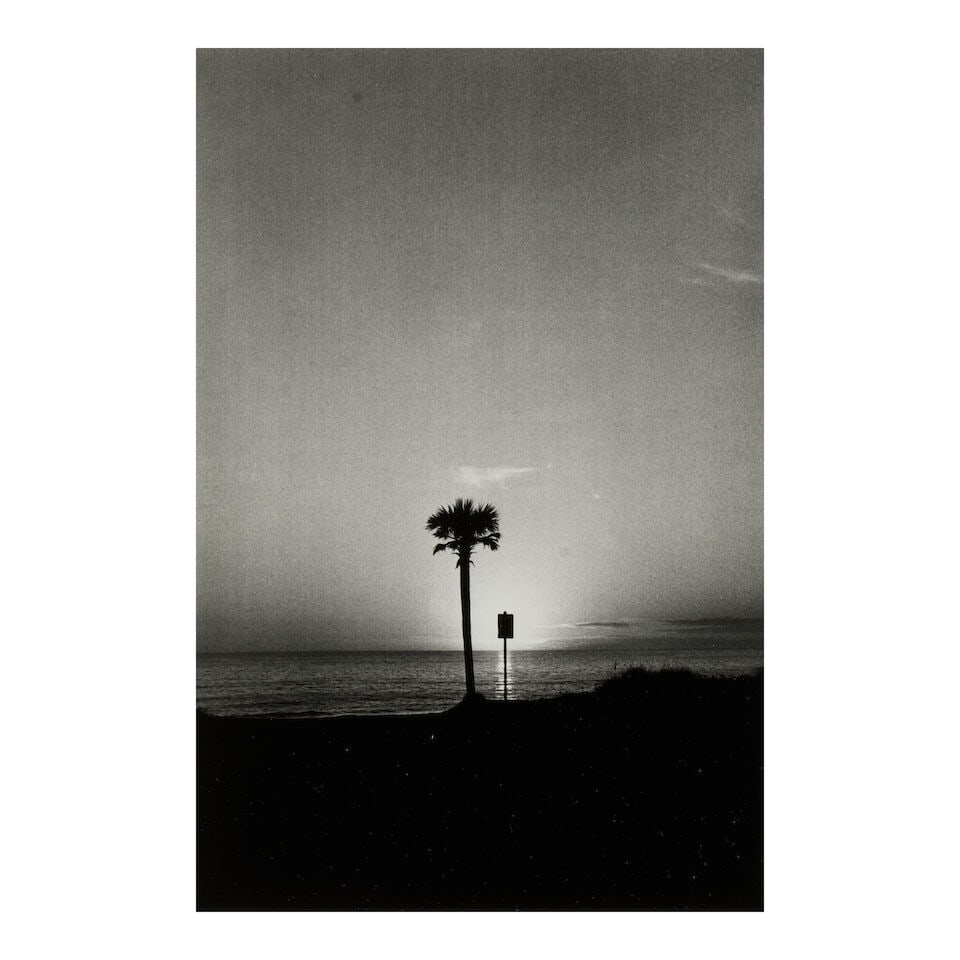 Elliott Erwitt (1928-2023); Tree and Sign, Panama City, U.S.A.;: Elliott Erwitt (1928-2023) Tree and Sign, Panama City, U.S.A., 1974 Gelatin silver print; signed in pencil on the reverse, framed. 12 1/8 x 8 1/8 in. (30.8 x 20.6 cm) sheet 13 7/8 x 11 1/8 in. (35.2 x