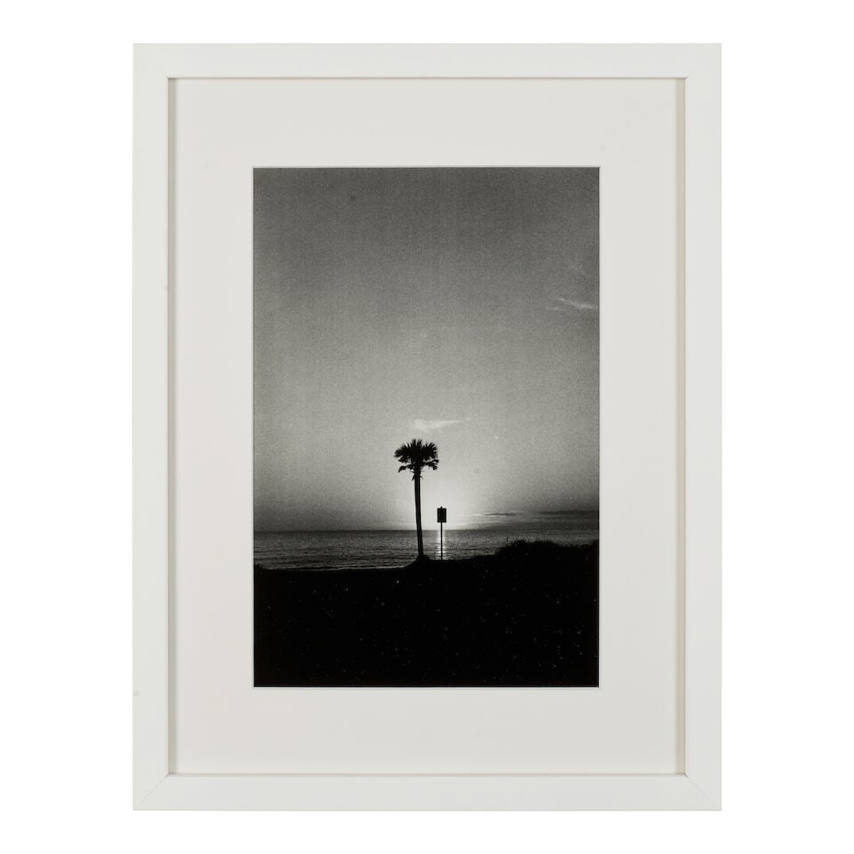 Elliott Erwitt (1928-2023); Tree and Sign, Panama City, U.S.A.; - 2