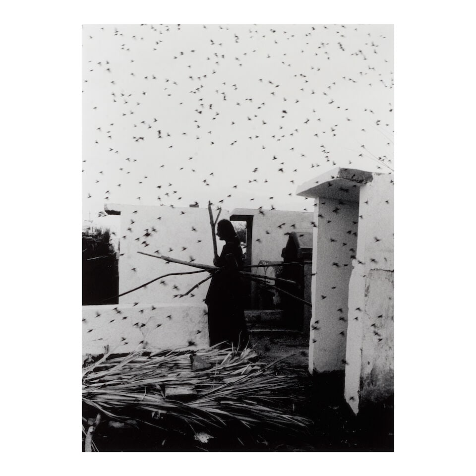 Graciela Iturbide (born 1942); Cementerio, Juchitán, México; (1 of 2)